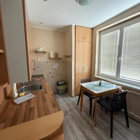 Apartment Penthouse - Masarykovo